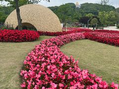 -苏州上方山国家森林公园