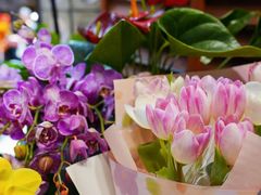 -循礼门鲜花花市(武汉循礼门店)