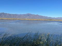 -野鸭湖国家湿地公园