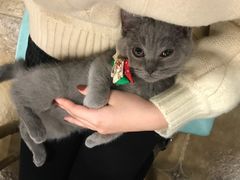 -共舞时光猫咖·狗咖(新街口店)