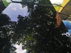 -水上明月·湖景餐厅
