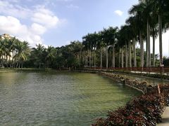 -海南热带野生动植物园