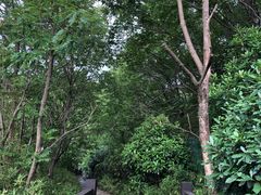 -白马涧龙池景区