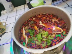 -晓彭肥肠鸡·泡椒鸡火锅(水木天地店)