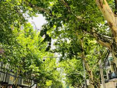 -村口大树(长乐路店)