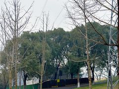 -佛手湖郊野公园
