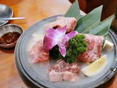 -大阪烧肉BAKA一代(十亩地店)