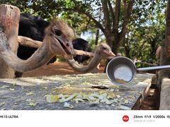 -海南热带野生动植物园