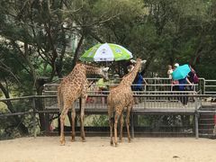 -泉州海丝野生动物世界