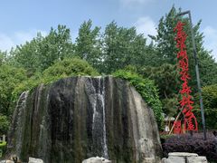 -合肥滨湖国家森林公园