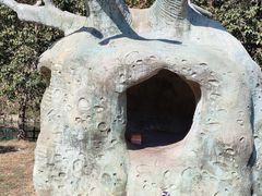 -杭州野生动物世界