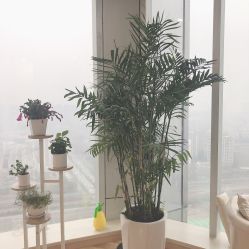 -久匠半永久纹眉