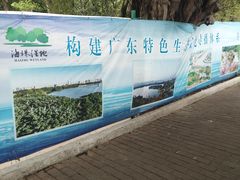 -海珠湖公园