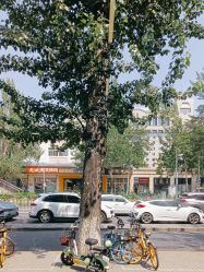 -LJOY丽锦造型·烫发染发
