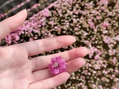 -长广溪湿地公园