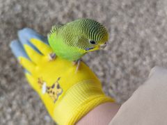 -怪兽屋·羊驼·猫咖·狗咖(俊华广场店)