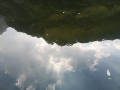 -少华山国家森林公园
