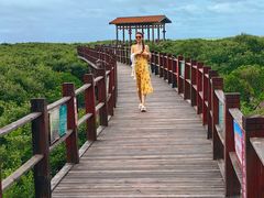 -北海金海湾红树林生态旅游区