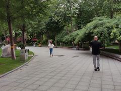-西清公园