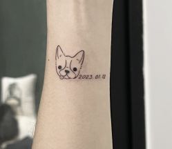 -明星刺青·洗纹身