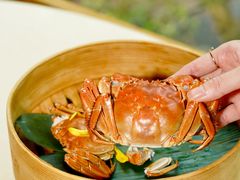 -成隆行·蟹王府(淮海店)