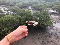 -北海金海湾红树林生态旅游区