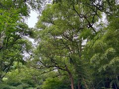 -黄公望隐居地