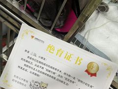 -福懋动物医院·犬猫全科·外科·重症科(杏林分院)