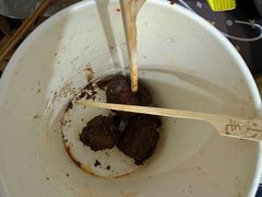 -马小毛老上海里脊肉(南翔印象城店)