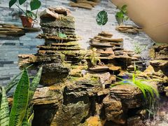 -会宾园·云山宴中餐