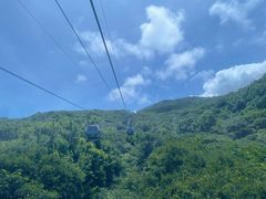 -普陀山风景区-佛顶山