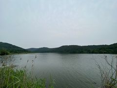 -南京市无想山景区