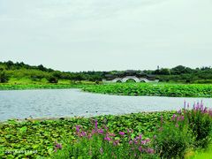 -上海海湾国家森林公园