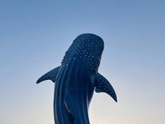 -珠海长隆海洋王国