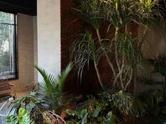 -J Create城市露营咖啡·简餐·宠物(上海动物园店)