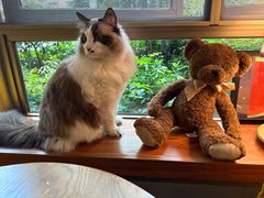 -咖法森林·咖啡  酒吧(天河店)