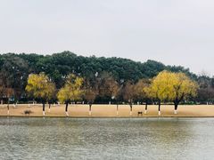 -上海方塔园