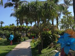 -三亚亚龙湾天域度假酒店