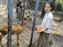 -长白岛森林公园