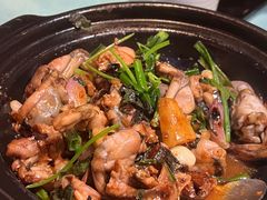 -胡桃里乐队酒馆(广州塔店)