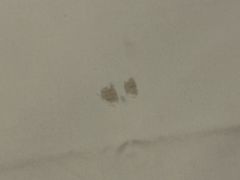 -上海虹桥西郊假日酒店