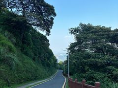 -黄埔油麻山森林公园