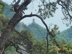 -塔云山