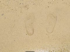-碧海金沙