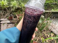 桑葚汁-翼果厨(总店)