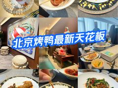 -羲和雅苑•北京烤鸭(平安国际金融中心店)