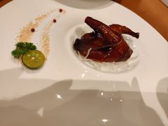 -广州富力君悦大酒店空中花园