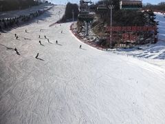 -东北亚滑雪场