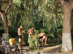 -丁香湖公园