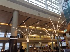 -达拉斯 沃斯堡国际机场